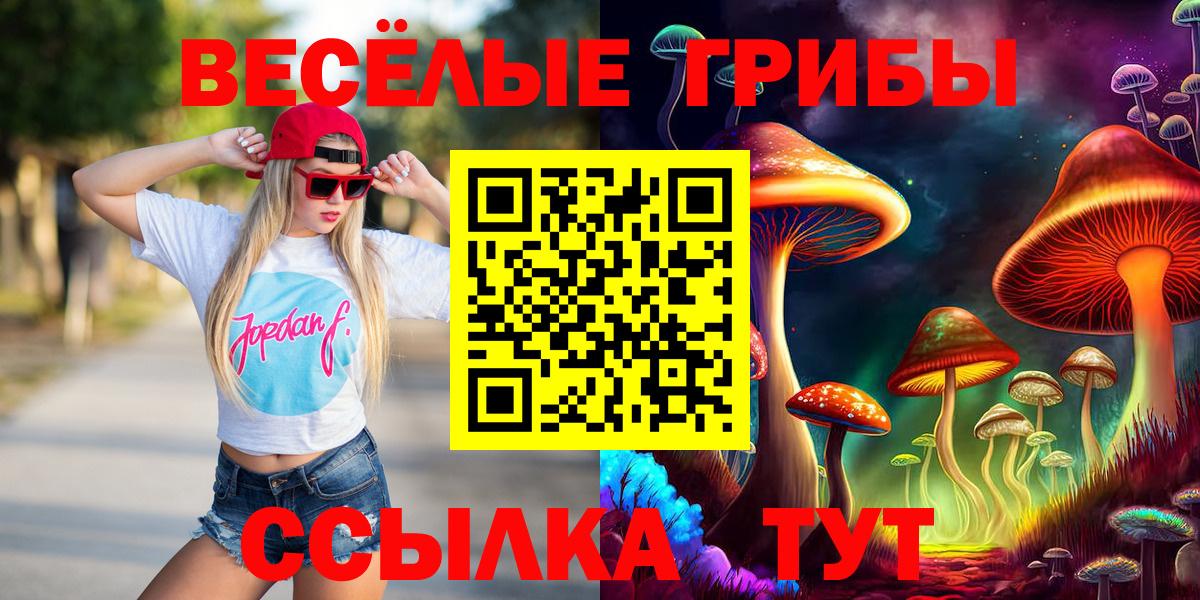 Псилоцибиновые грибы Cubensis  Вход с VPN  Воскресенск  Галлюциногенные грибы прущие грибы 