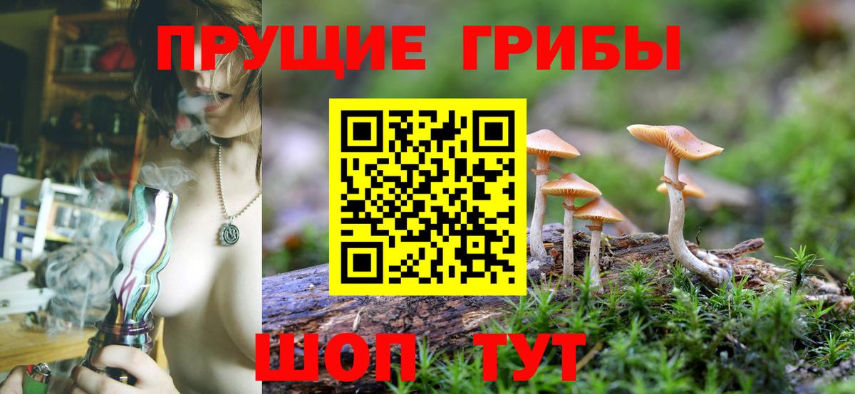 Псилоцибиновые грибы Cubensis Воскресенск